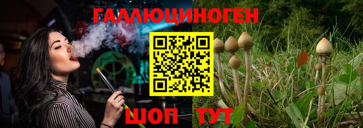 Галлюциногенные грибы прущие грибы  Вход с VPN  Ахтубинск 