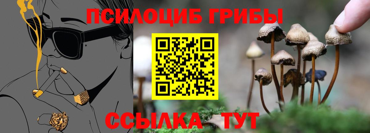 Галлюциногенные грибы Magic Shrooms Ахтубинск